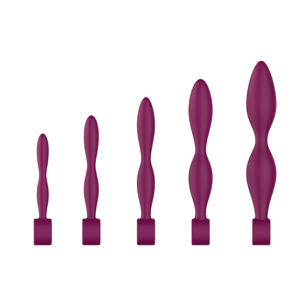 Passion Play Silicone Dilator Set - Purple Dilator Kit - Set of 5 Sizes - PP0101