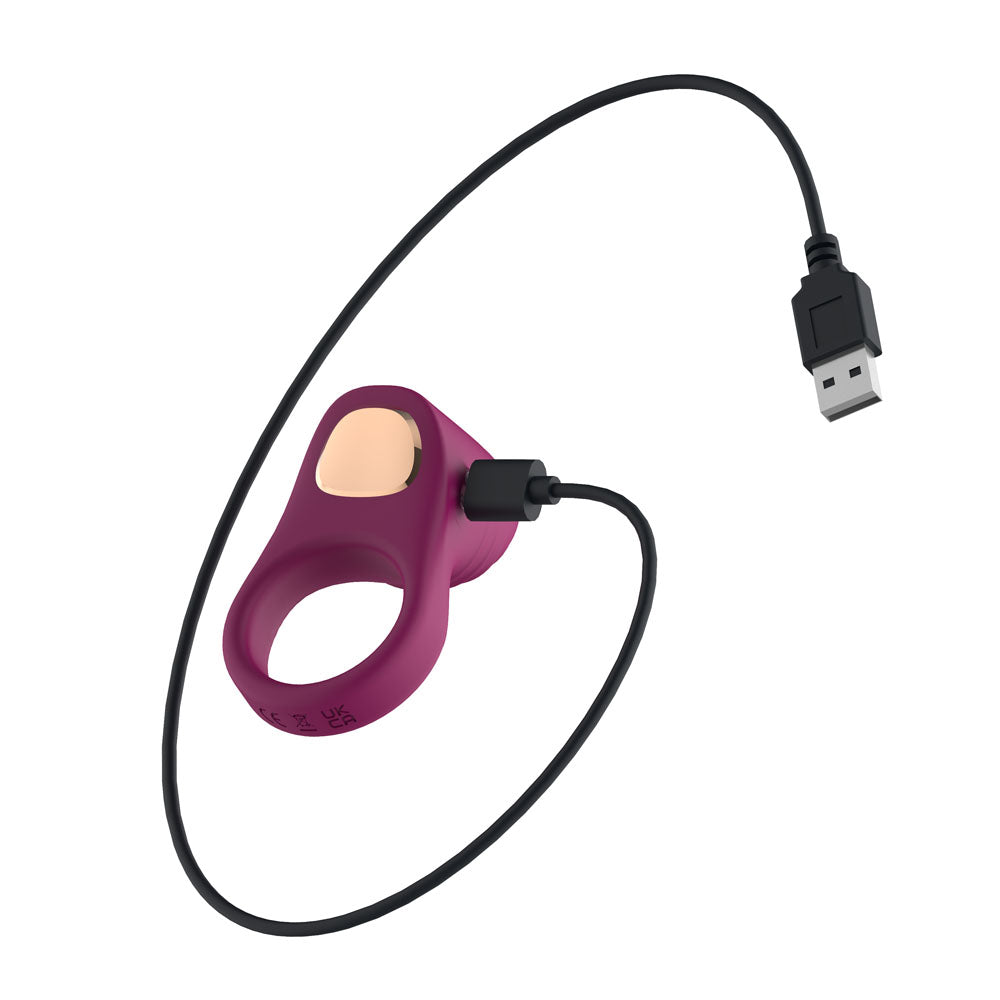 Passion Play Silicone Vibrating Cockring - Purple USB Rechargeable Penis Ring - PP0253