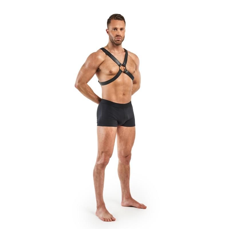 Lionel Bondage Harness Black-BF030BLK