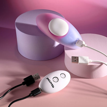 Evolved PARADISE PANTY - Pink/Purple USB Rechargeable Panty Vibrator with Remote Control-EN-RS-5711-2