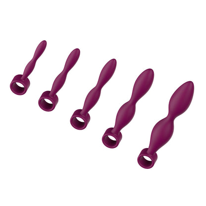 Passion Play Silicone Dilator Set - Purple Dilator Kit - Set of 5 Sizes - PP0101