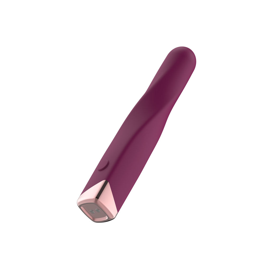 Passion Play Rechargeable Vibrating Bullet - Purple - Purple 12 cm USB Rechargeable Vibrating Bullet - PP0106