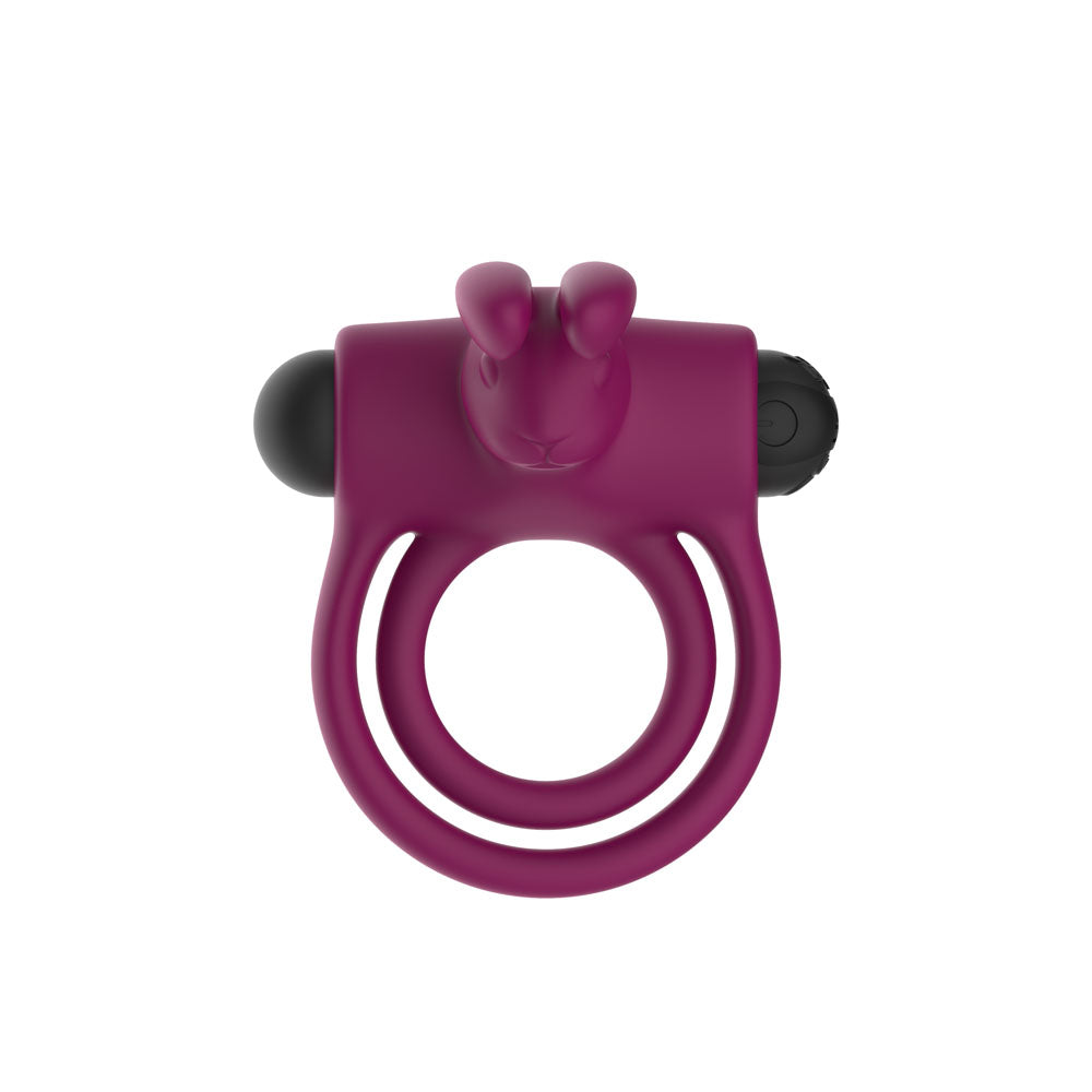 Passion Play Silicone Rabbit Vibrating Cockring - Purple USB Rechargeable Vibrating Penis and Balls Ring - PP0242
