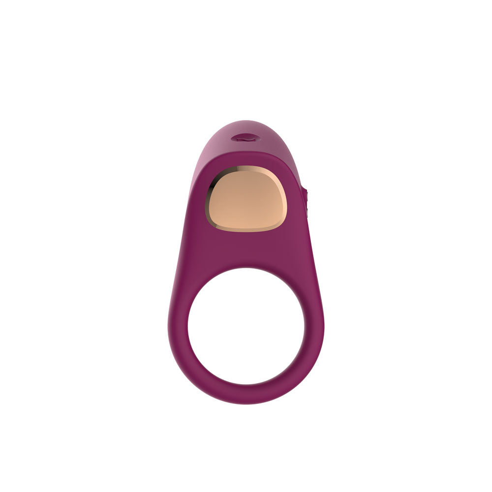 Passion Play Silicone Vibrating Cockring - Purple USB Rechargeable Penis Ring - PP0253