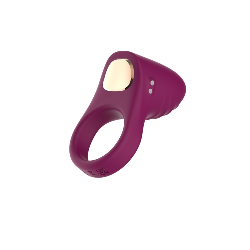 Passion Play Silicone Vibrating Cockring - Purple USB Rechargeable Penis Ring - PP0253